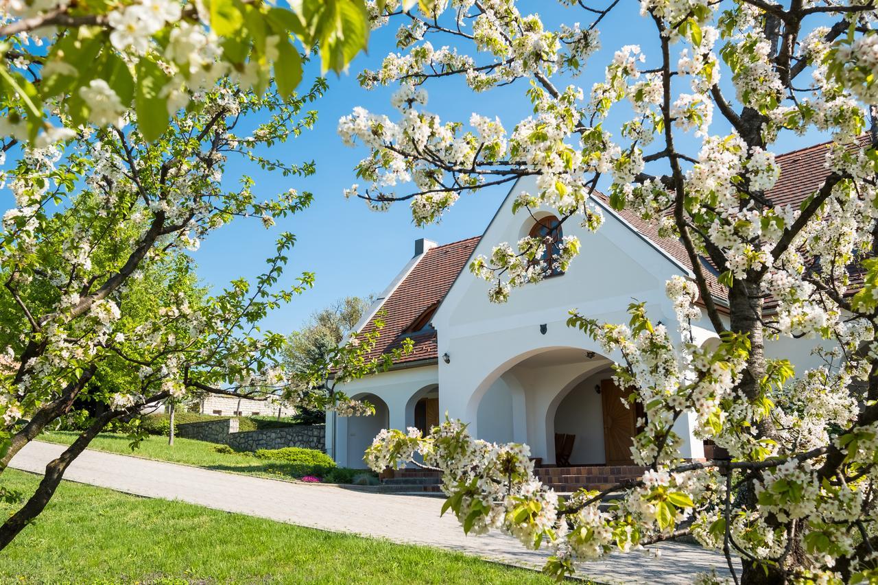 Figula Vendeghaz Hotel Balatonfured Luaran gambar